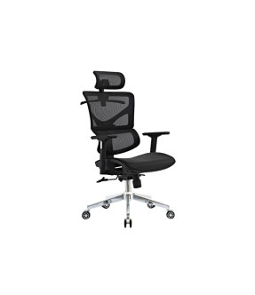Dercy Executive Office Chair